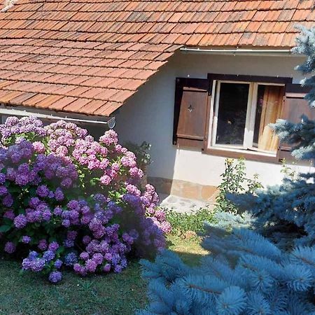 Apartman Nebojsa Rudnik Exterior foto