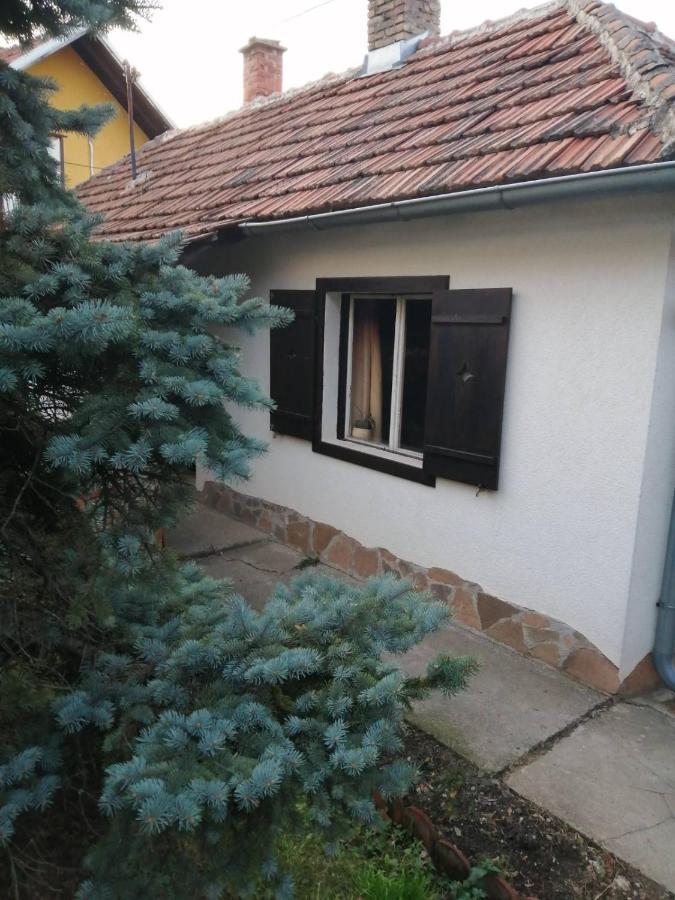 Apartman Nebojsa Rudnik Exterior foto