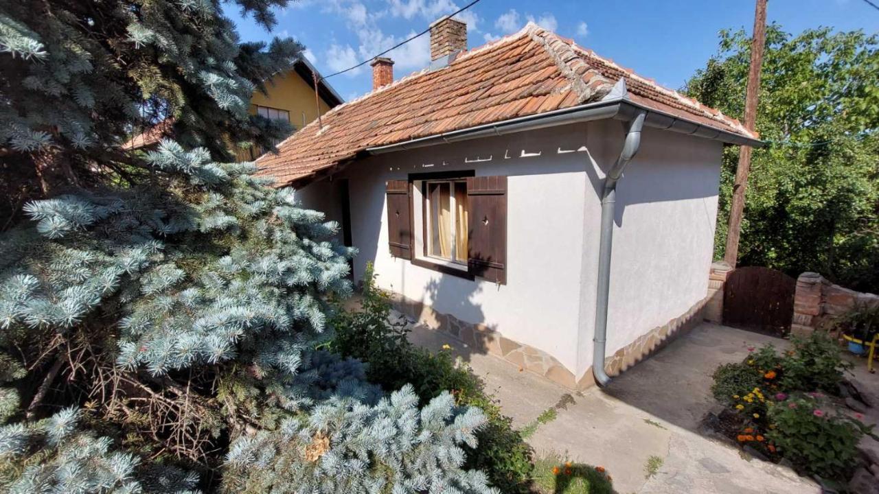 Apartman Nebojsa Rudnik Exterior foto