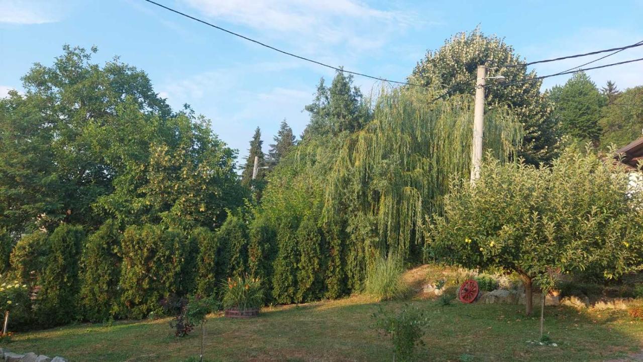 Apartman Nebojsa Rudnik Exterior foto