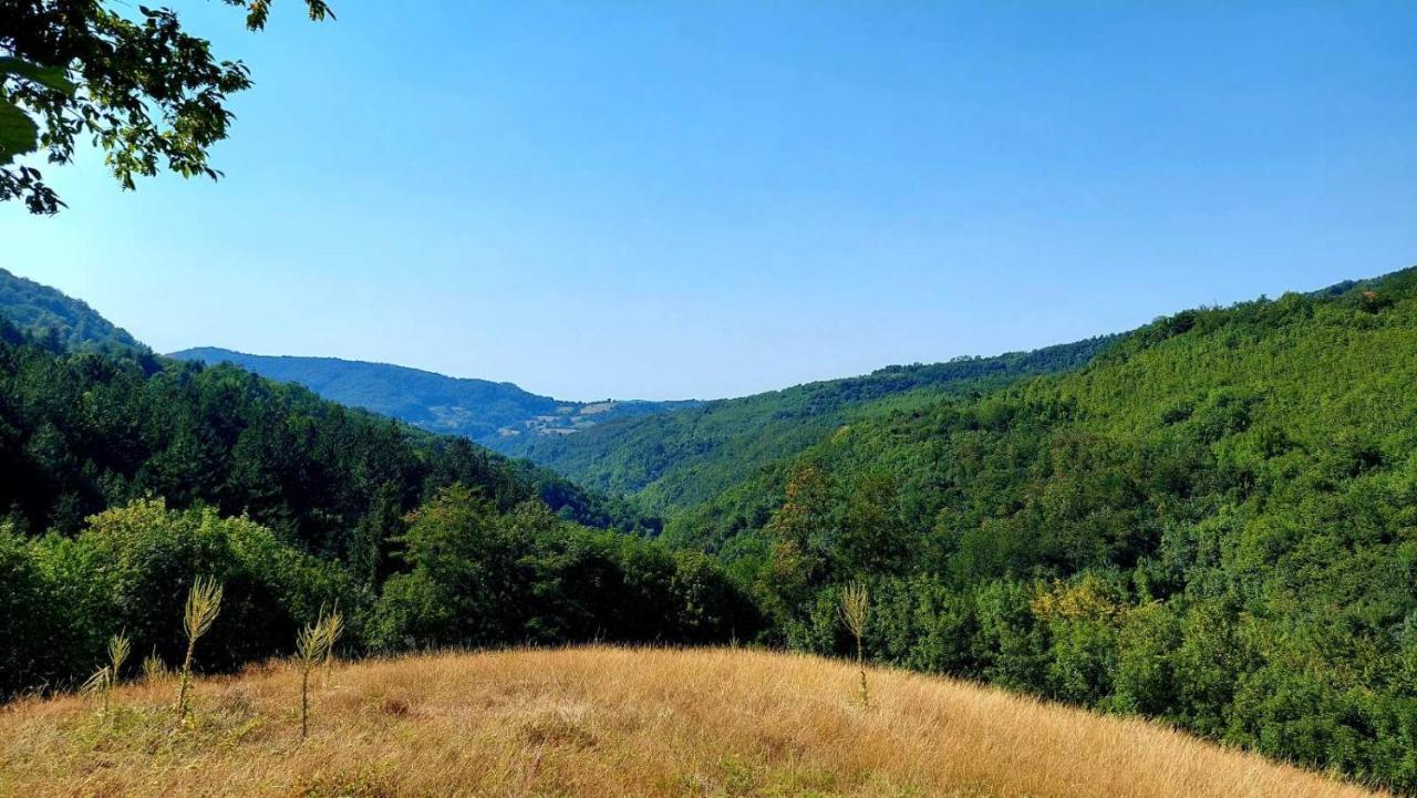 Apartman Nebojsa Rudnik Exterior foto